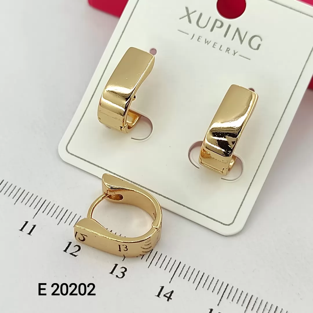 E 20202